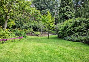 Optimiser l'expérience du jardin à Saint-Palais-de-Negrignac